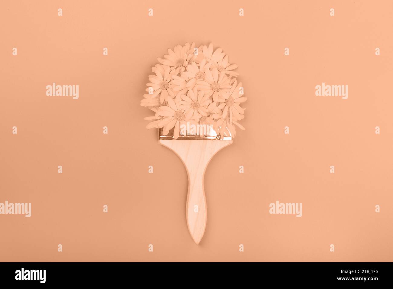 Background Color of the year 2024 peach fuzz. Trendy colors concept