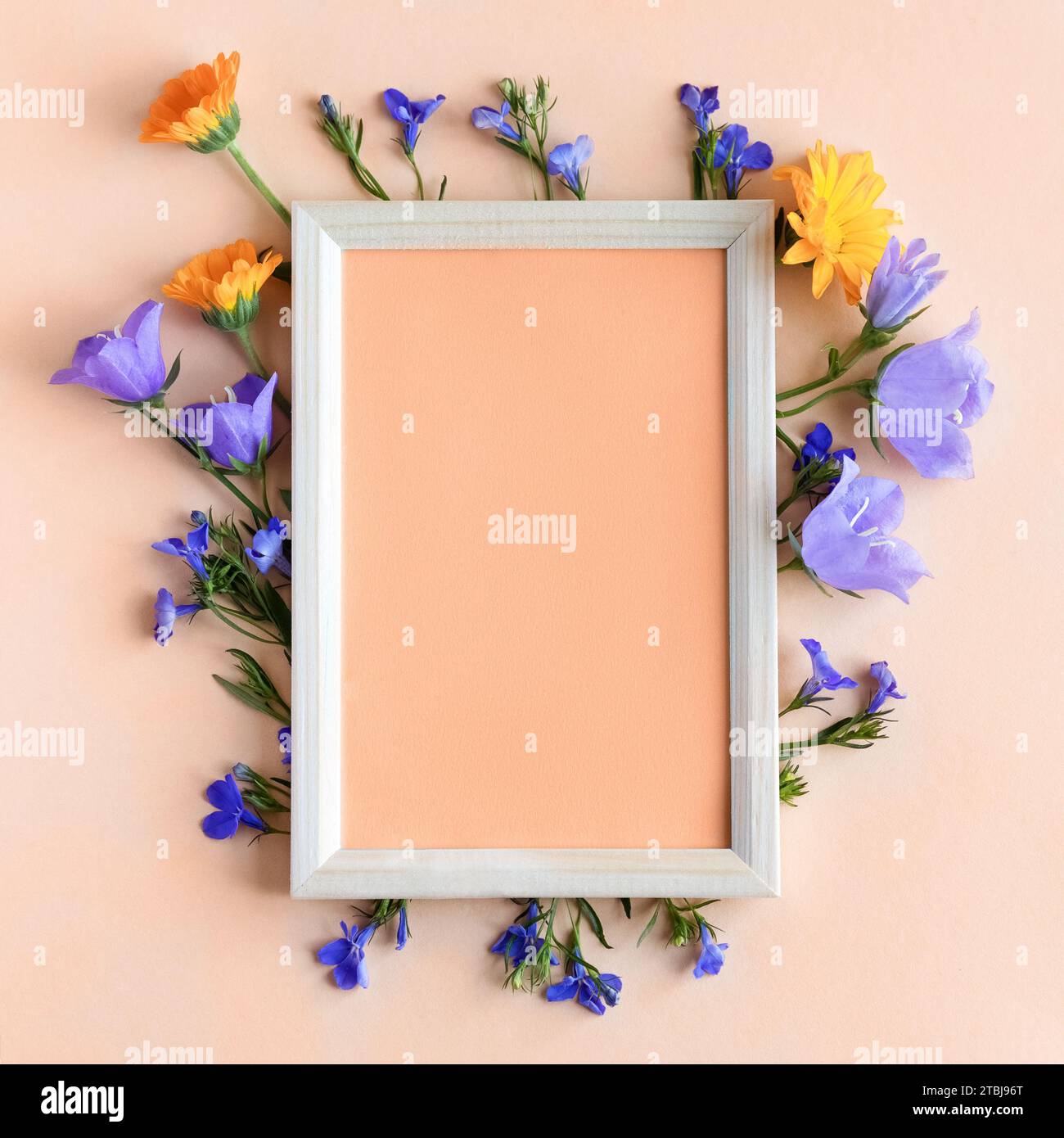 Text frame with flowers bells and calendula. Trendy color of year 2024 - Peach Fuzz. Trendy color palette sample. Stock Photo