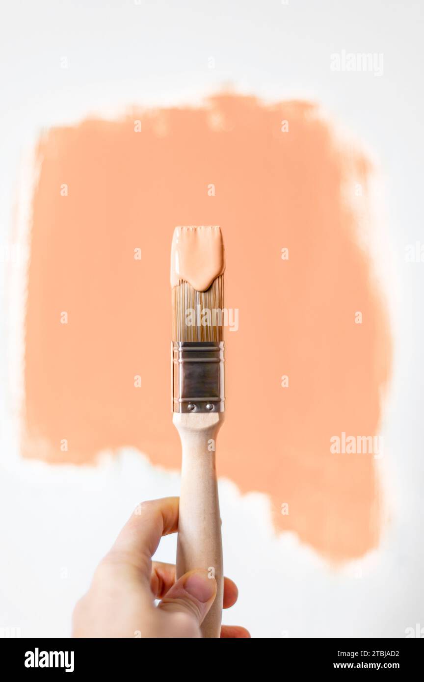 Process of choosing paint for the walls during house renovation, peach