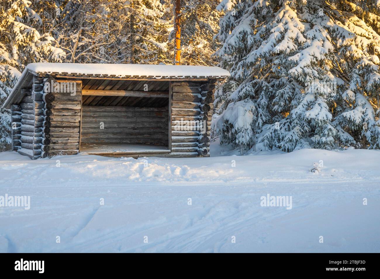 A ski center outside the town of Ludvika in Sweden, where you can go cross-country skiing and there are also trails for dog sledding Stock Photo