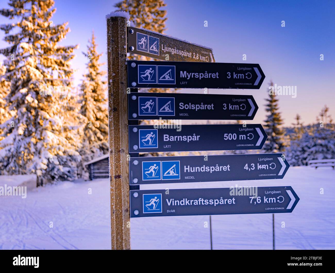 A ski center outside the town of Ludvika in Sweden, where you can go cross-country skiing and there are also trails for dog sledding Stock Photo