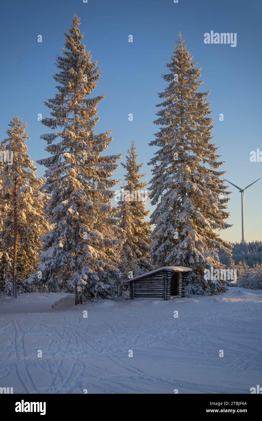 スノーイング ファイバー ツリー(SNOWING FIBER TREE) スノーイング ファイバー ツリー(SNOWING FIBER TREE)