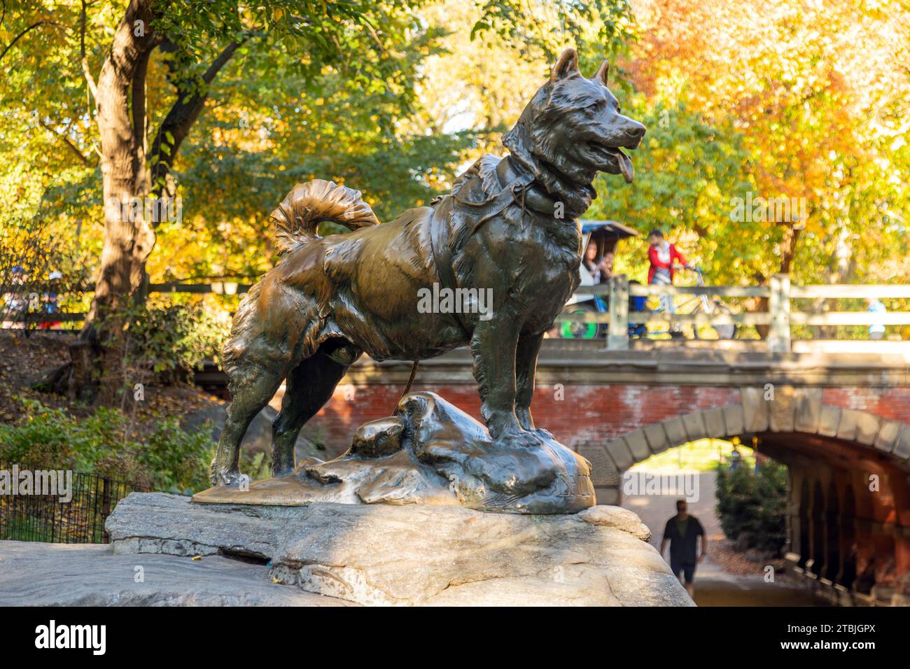 Bronze statue of the sled dog BALTO by Frederick Richard Roth