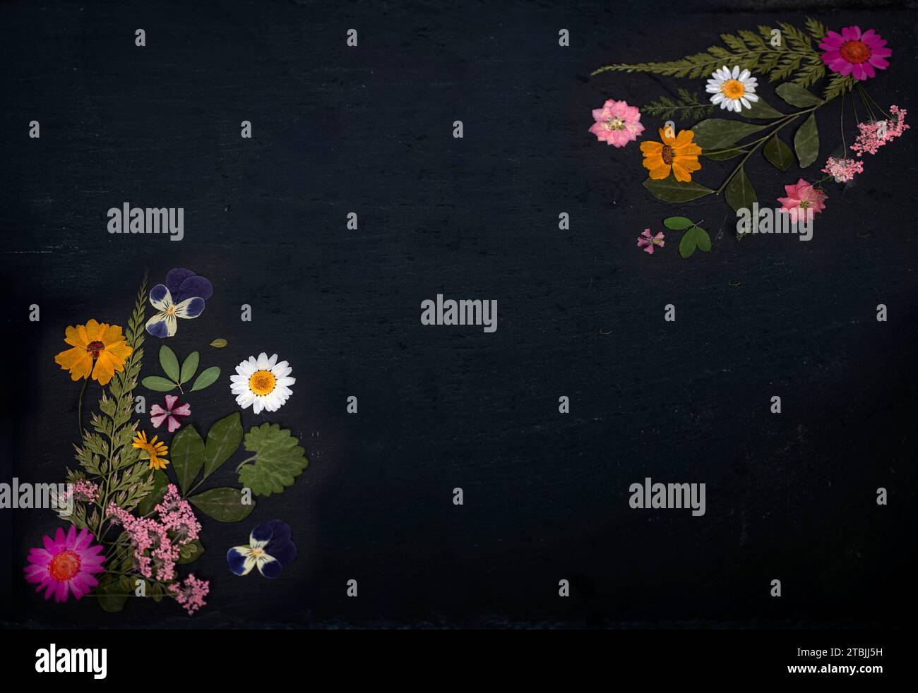 slate with space text with flowers and plants Stock Photo