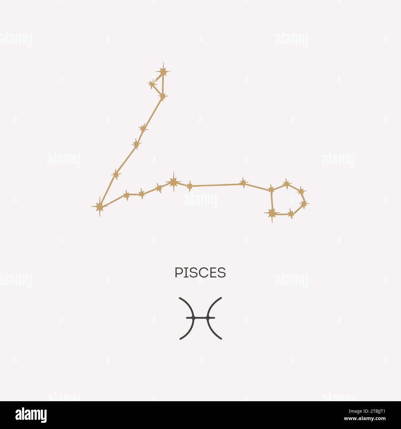 Pisces constellation vector illustration Stock Vector
