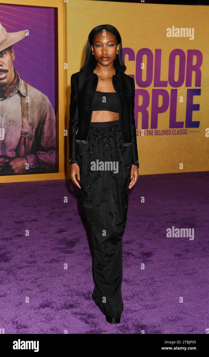 LOS ANGELES, CALIFORNIA - DECEMBER 06: Demi Singleton attends the World Premiere of Warner Bros.' 'The Color Purple' at Academy Museum of Motion Pictu Stock Photo