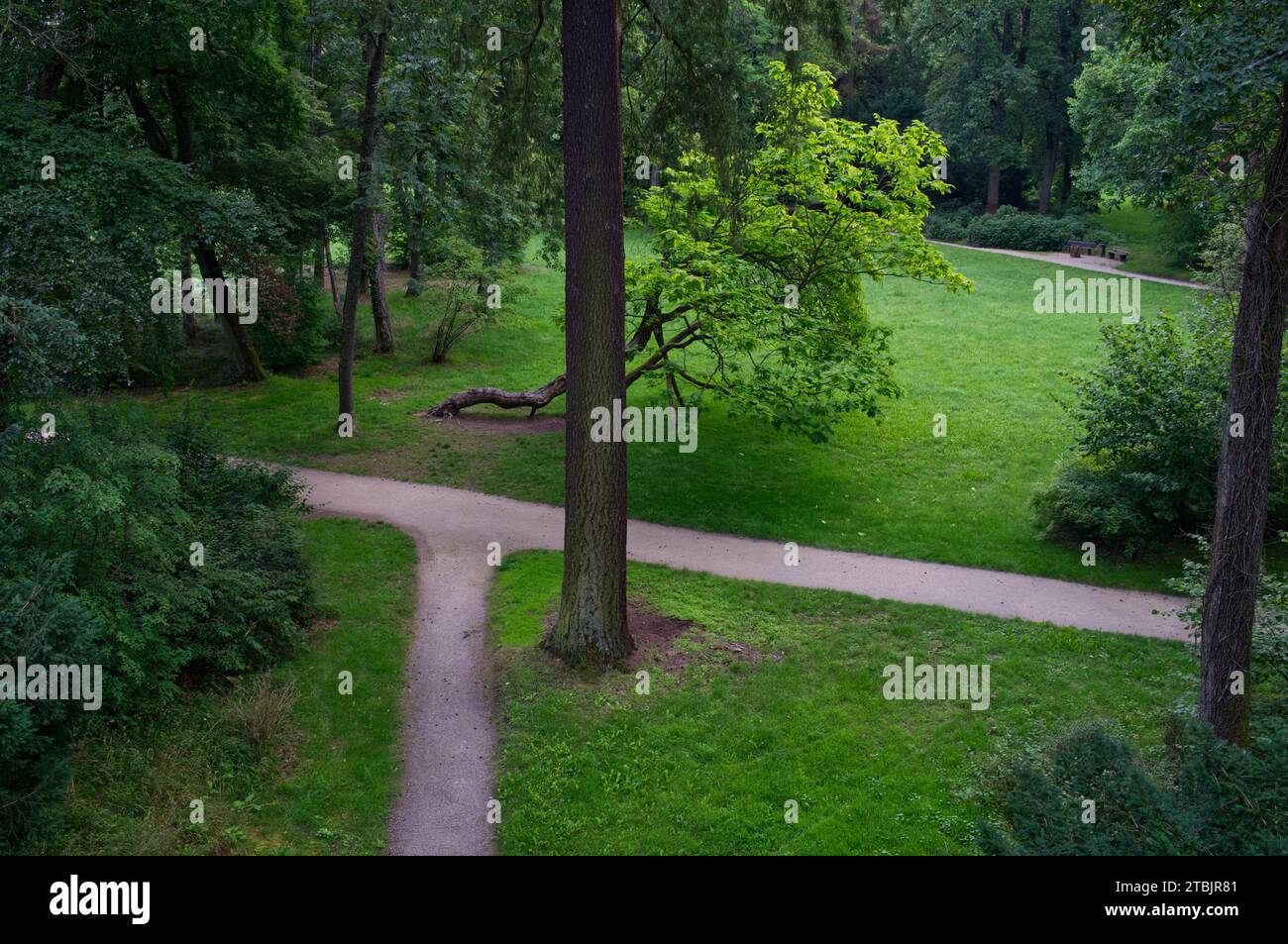 Park scenery with crossroad in bird's-eye view Stock Photo