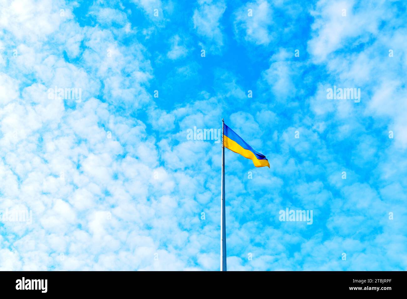 Ukrainian flag proudly fluttering on its pole against the backdrop of towering cumulus clouds in the deep blue sky. Stock Photo