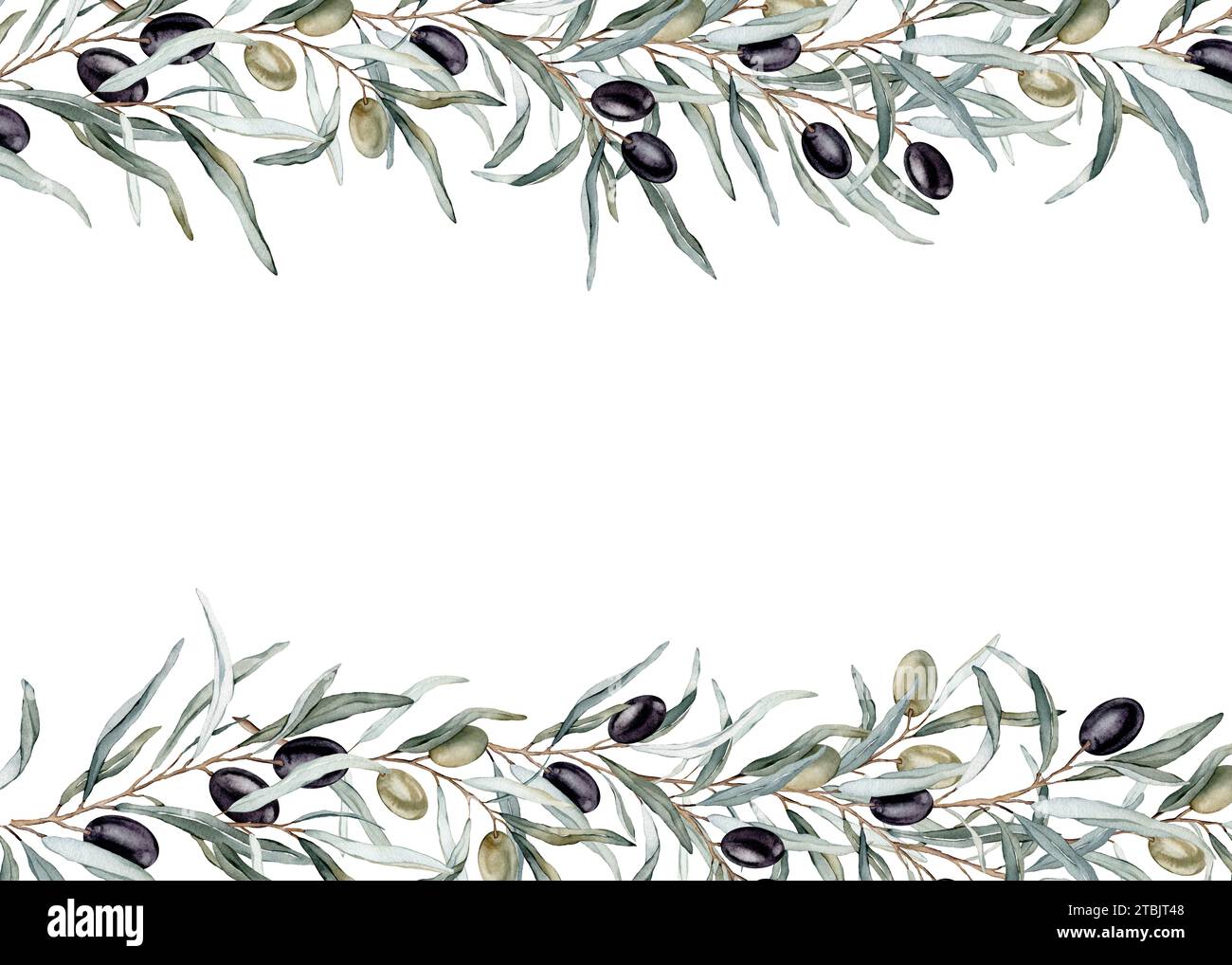 Watercolor seamless border with black and green olives and branch. Hand ...