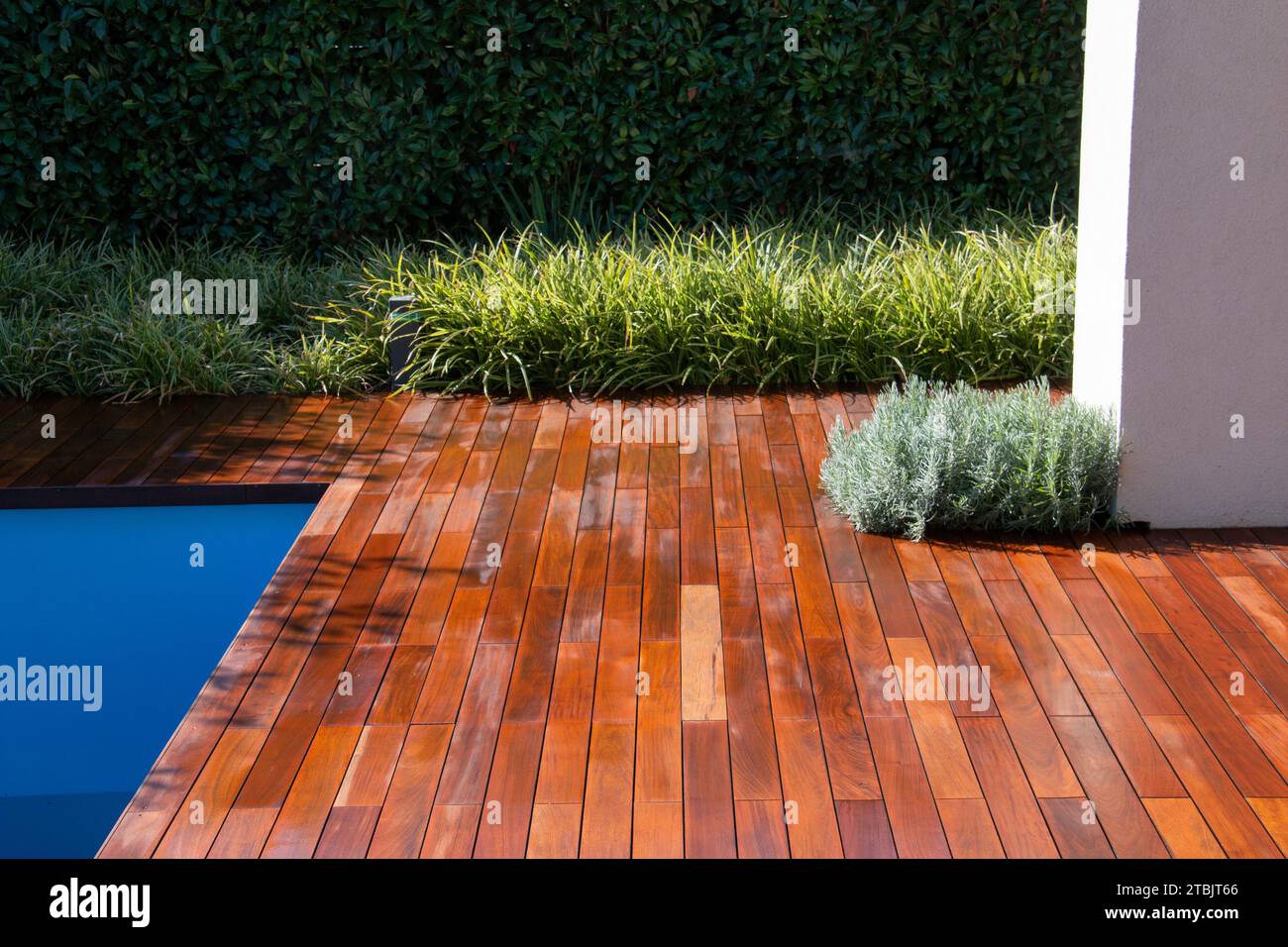 Pool deck wood floor with evergreen fence scrub, grass and white pillar ...