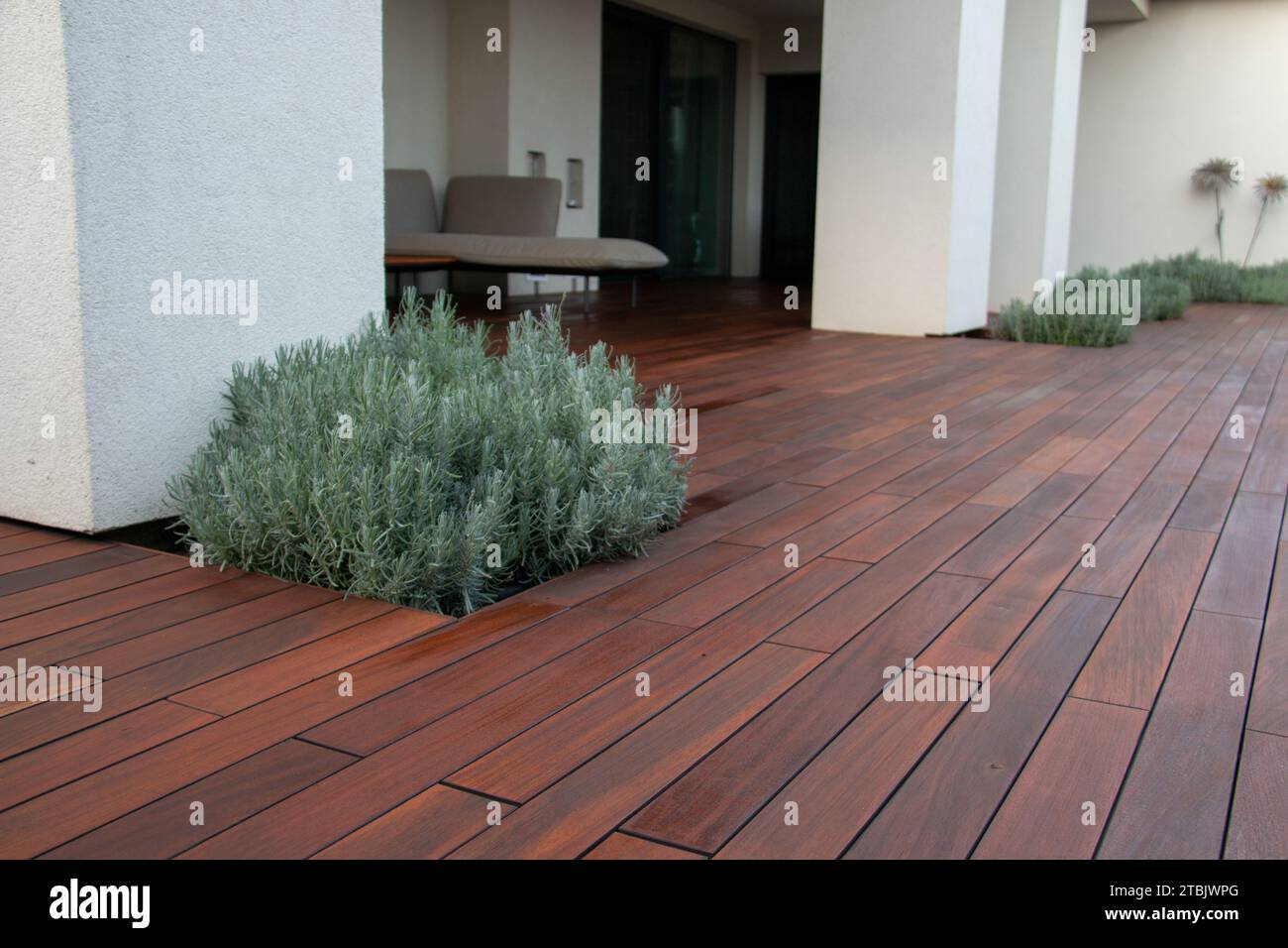 Patio with white concrete columns on hardwood deck lavender scrub pots