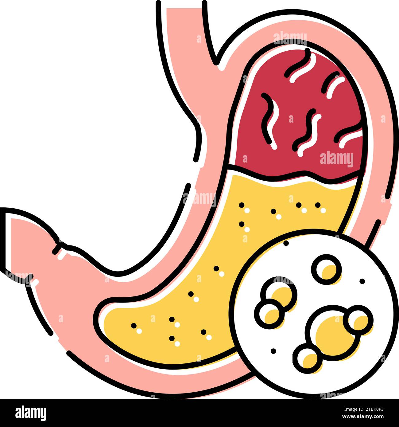 digestive enzymes gastroenterologist color icon vector illustration