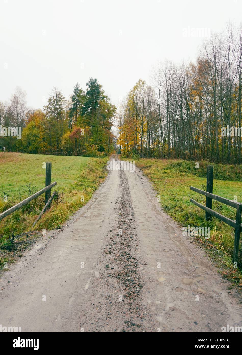 Long narrow gravel road hi-res stock photography and images - Alamy