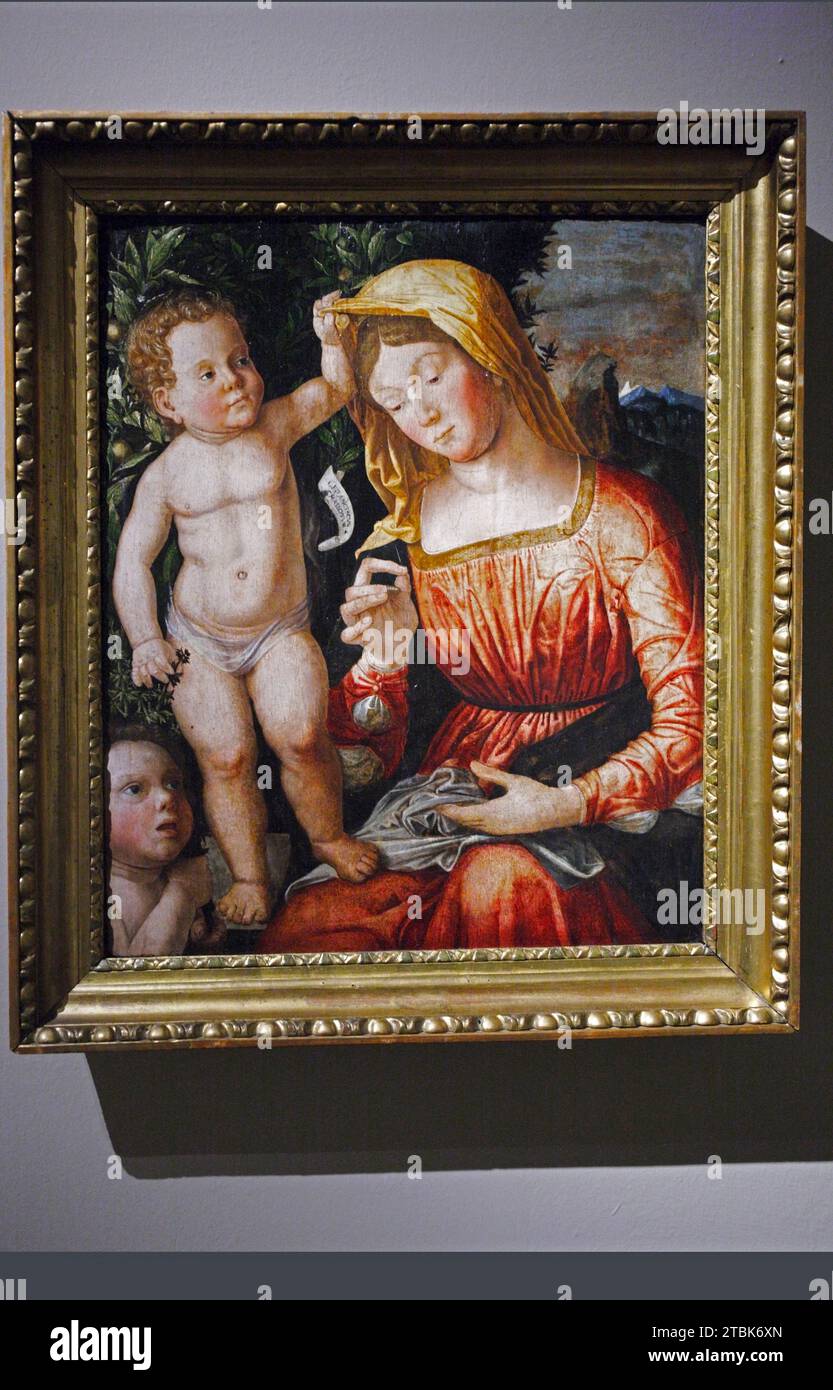 Italy Modena Galleria Estense - Madonna with child and Saint Jhon the Baptist Young ( San Giovannino ) by  Caroto Giovan Francesco Stock Photo