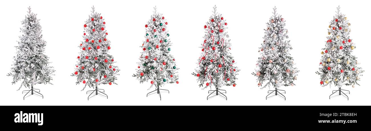 Set of beautiful Christmas trees isolated on white Stock Photo - Alamy