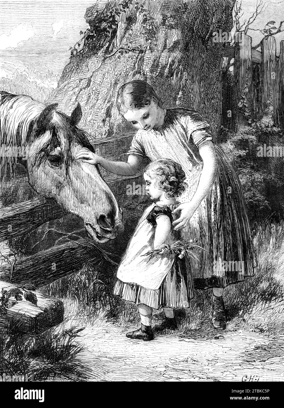 &quot;Want of Confidence&quot;, by G. H. Thomas, from the exhibition of the Royal Academy, 1861. Engraving from a painting. 'Mr. Thomas idealises a very pretty notion of the mixed curiosity and bashfulness of child life in this little picture. A little boy has been induced by his elder sister to gather some wild flowers and choice herbs to feed the old horse in the neighbouring field, but when he comes to the act of presenting them his courage almost fails him - he wants confidence to place them in the gaping mouth of the harmless animal who stretches forward to receive them. The sister, by pl Stock Photo