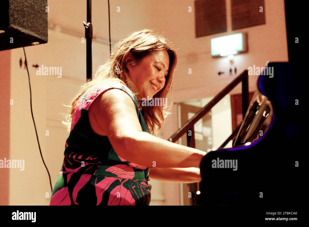 Nikki Yeoh, Denys Baptiste Quartet, Battle Jazz Festival, Battle, East Sussex, July 2023. Stock Photo