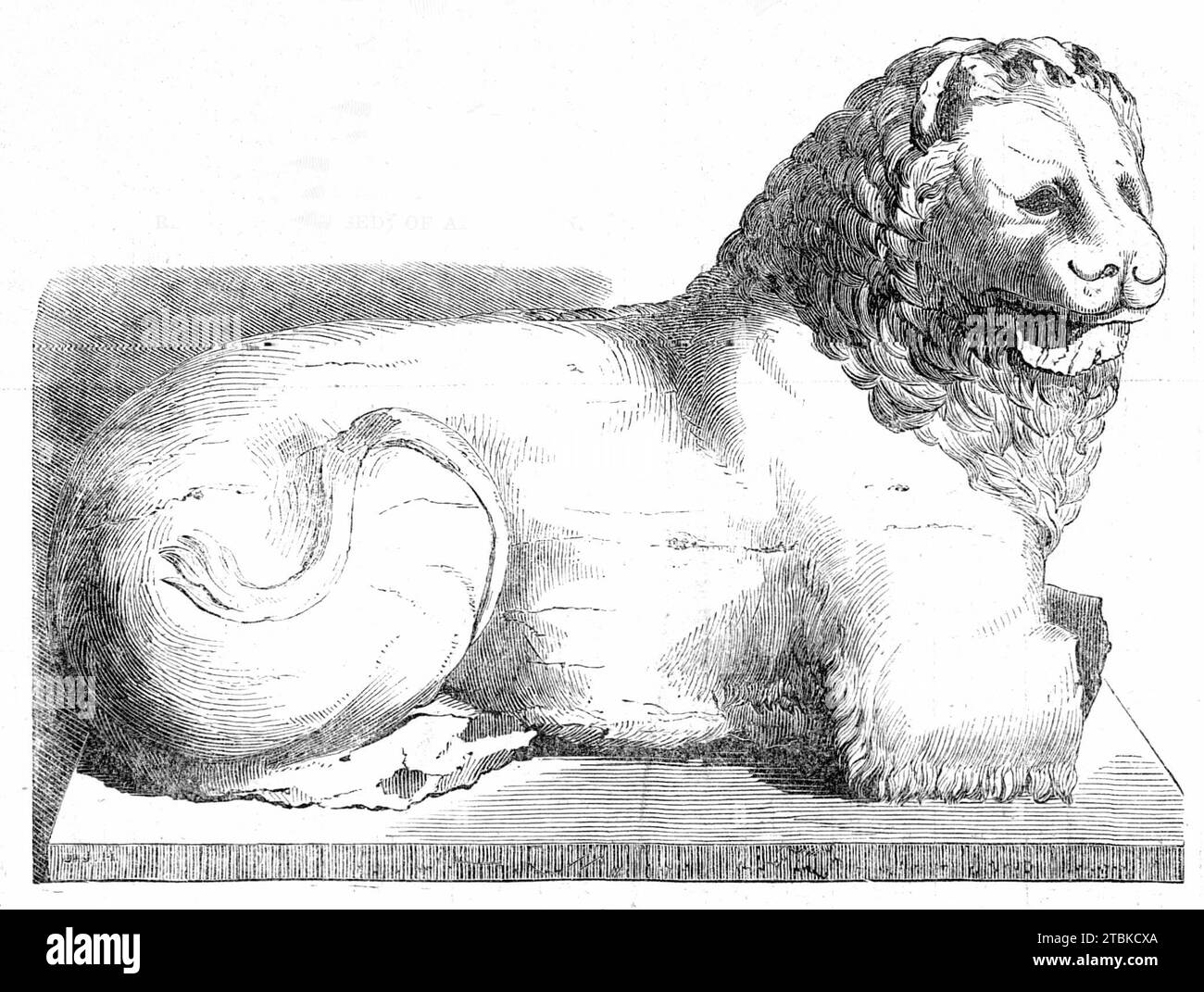 Colossal marble lion from Cnidus, 1861. '...a magnificent example of colossal Greek sculpture...Its dimensions are 10ft. in length and 6ft. in height...The body is crouching...It was generally in fine condition; but being...exposed to the weather, the surface had suffered in some degree, though not to an extent to destroy the main anatomical markings, which retain their original boldness. The entire lion has been sculptured out of one block of Parian marble, with the exception of the forepaws, which had been united to the body by a joint, and are lost...This fine piece of sculpture was discove Stock Photo