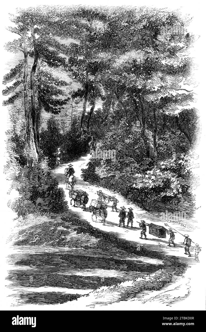 Sketches from the interior of Japan, by our special artist: Mountain Pass in Fizen, Takiwa, 1861. 'We...soon left the muddy streets of Nagasaki behind us and emerged into the country, and began ascending a mountain pass which was wellnigh perpendicular, with steps up it. The hills were wooded, and here and there was a bit of cultivated ground. Fine views were caught every now and then as we looked down from our elevated positions. At intervals were roadside inns, with a trellis of westernia, or whatever the plant is called, across the road, to shade the travellers as they sit and drink their t Stock Photo