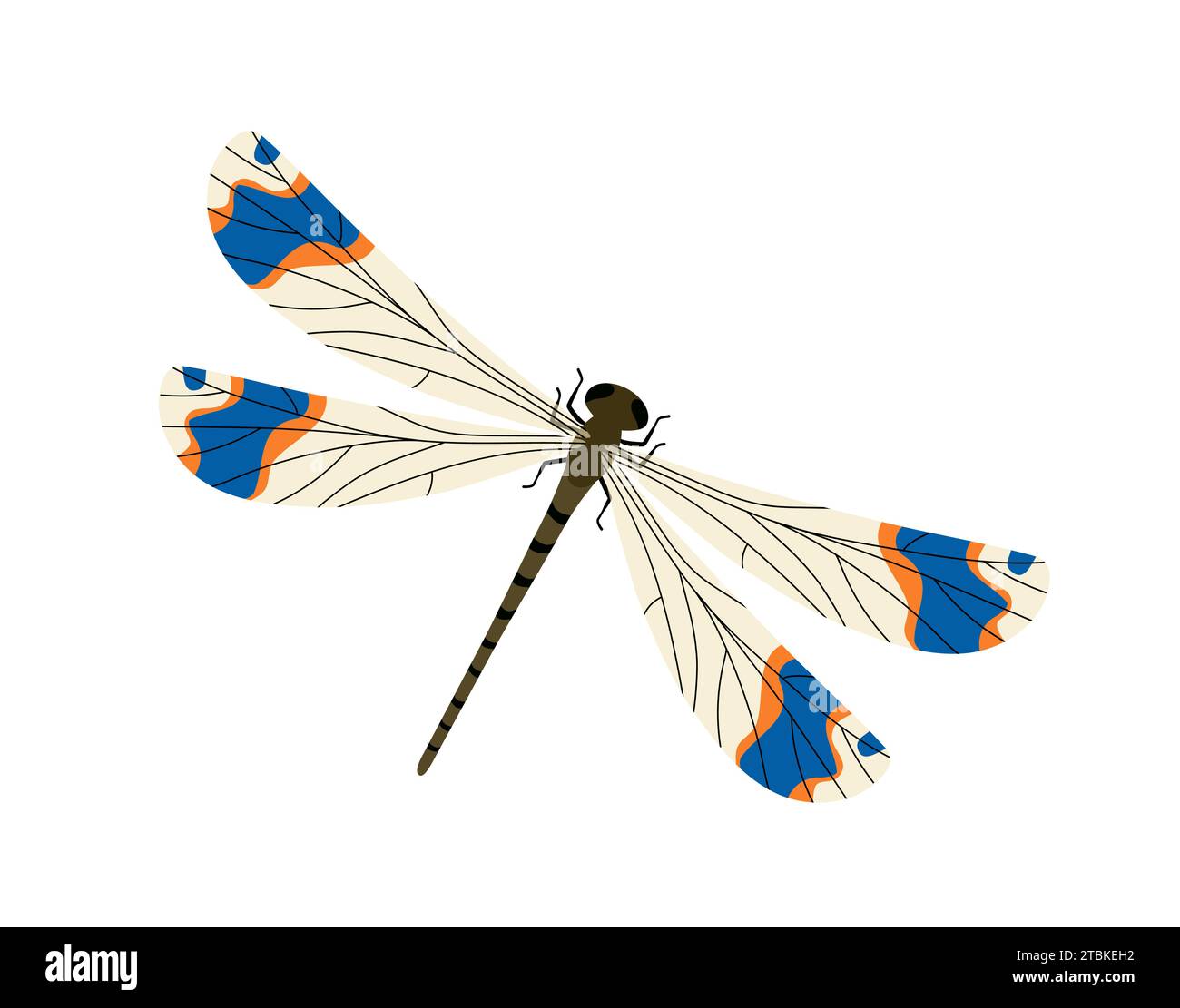 Cute insect vector concept Stock Vector Image Art Alamy