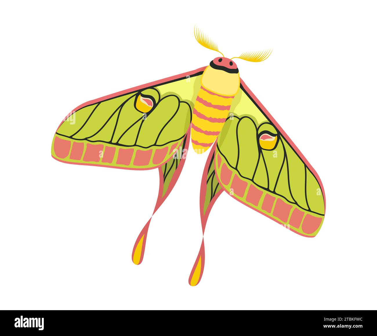 Colorful butterfly vector concept Stock Vector Image & Art - Alamy
