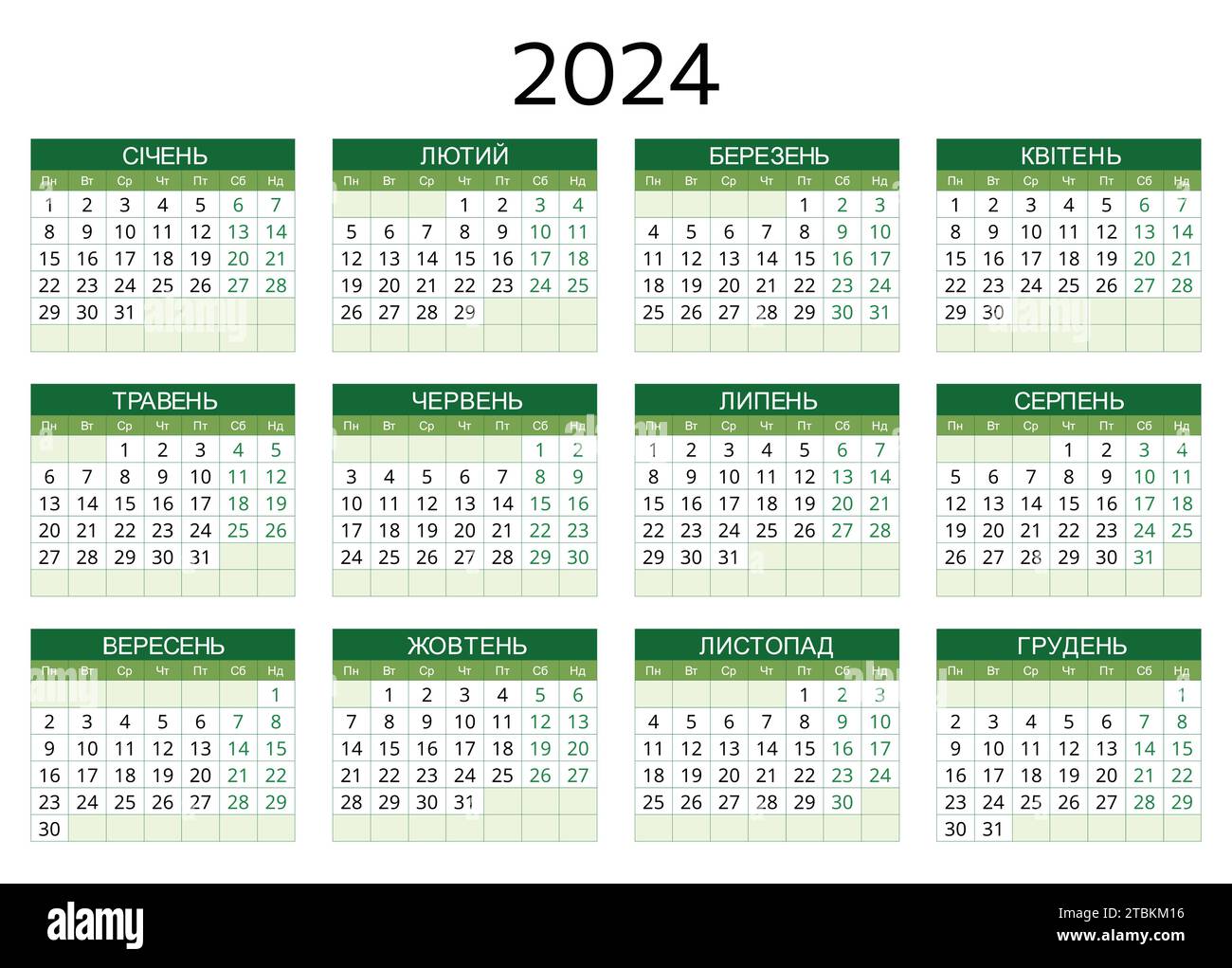2024 ukrainian calendar. Modern vector template illustration in Ukraine