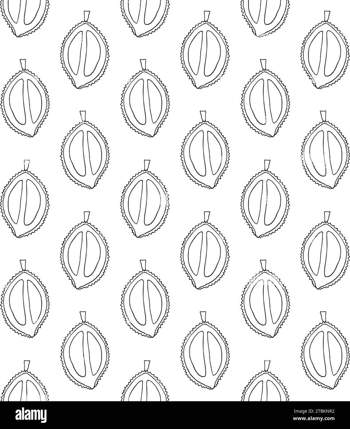 Vector seamless pattern of hand drawn durian fruit Stock Vector Image ...