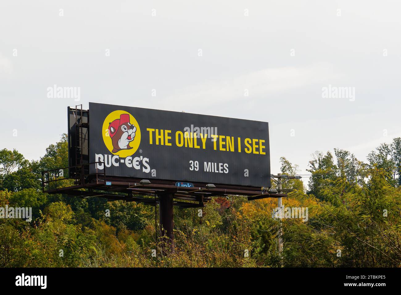 Farragut, TN - Oct. 19, 2023: Buc-ee's ad on billboard along I-40 says 'The Only Ten I See' a play on words for their new location in Tennessee Stock Photo