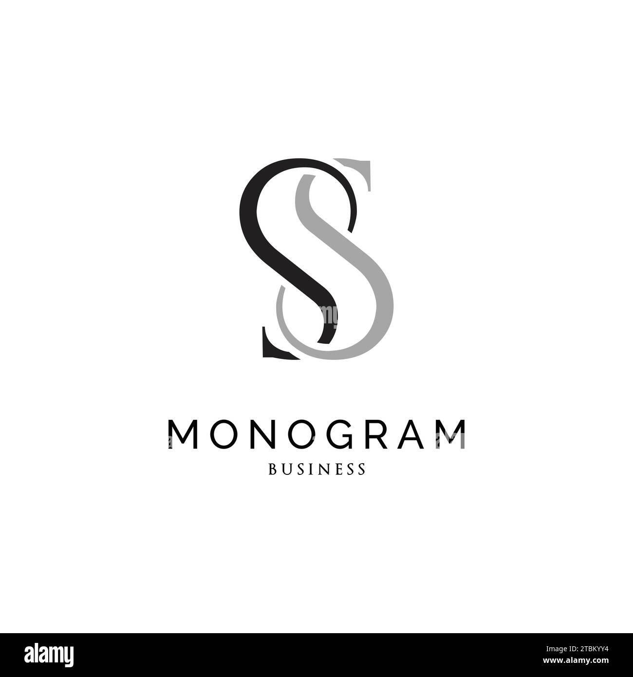 Initial Letter SS Monogram Icon Logo Design Template Stock Vector Image