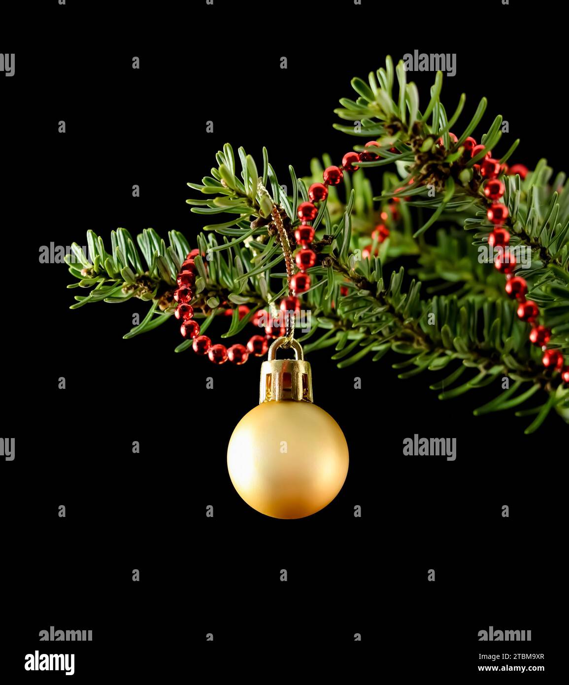 Yellow ball and red string of beads on a green branch of a Christmas tree isolated on a black background. Holiday concept Stock Photo
