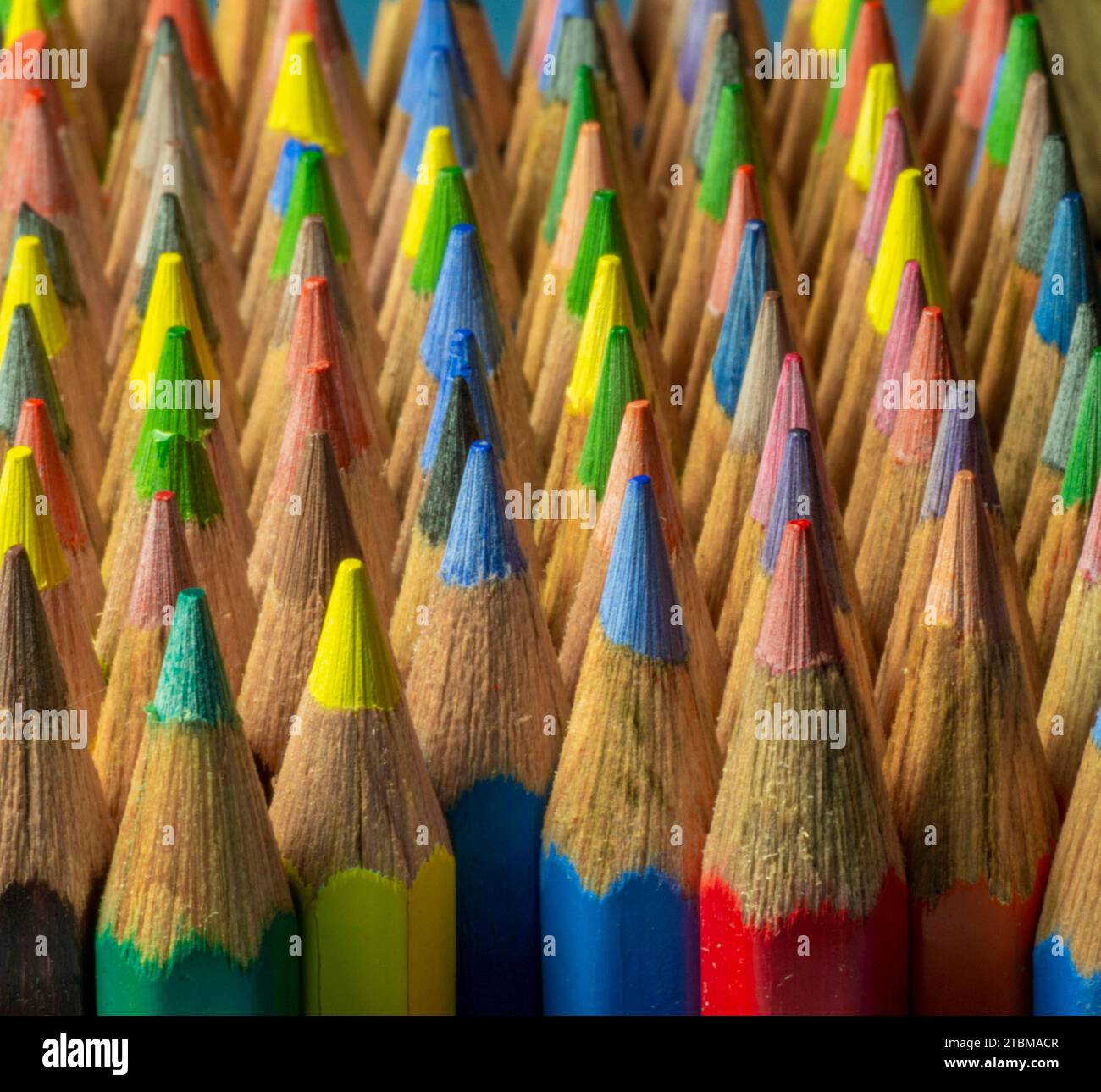 Wooden colored pencils. Pencil pile. Pencil nibs. Sharpen colored pencils. Close up. Macro Stock Photo