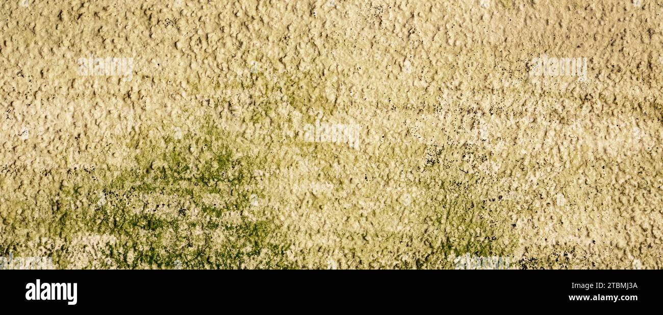 Structure rent brown green house wall, Abstract background, Graphic elements, Texture background, Austria Stock Photo