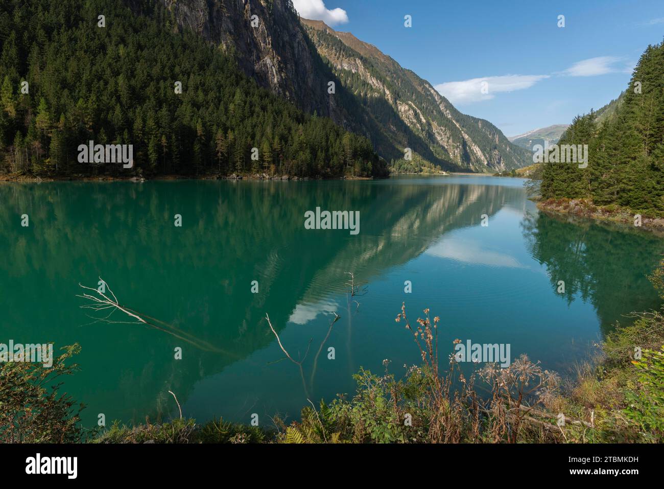 Reflection coniferous forest water hi-res stock photography and images ...