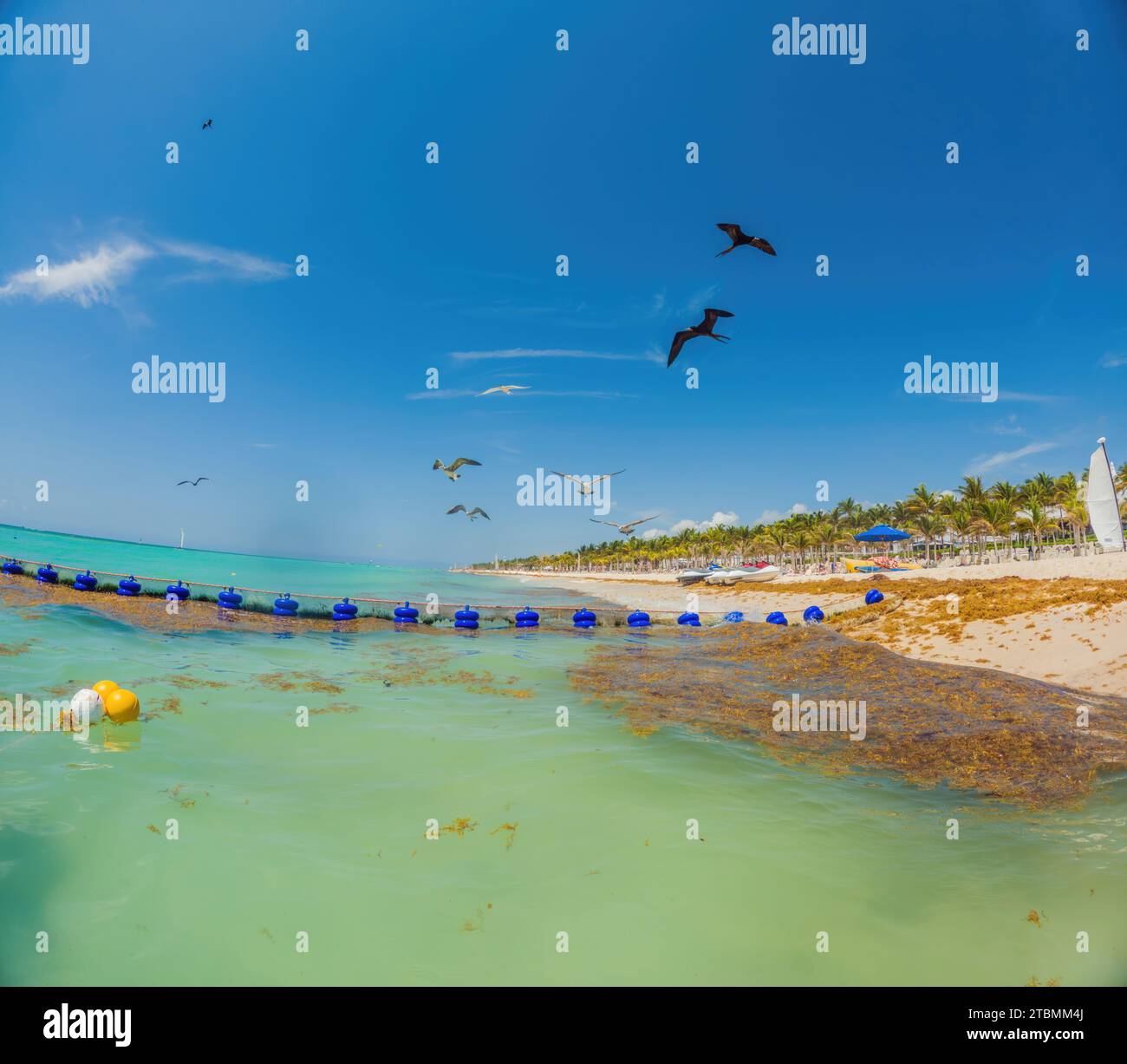 The beautiful Caribbean beach totally filthy and dirty the nasty ...