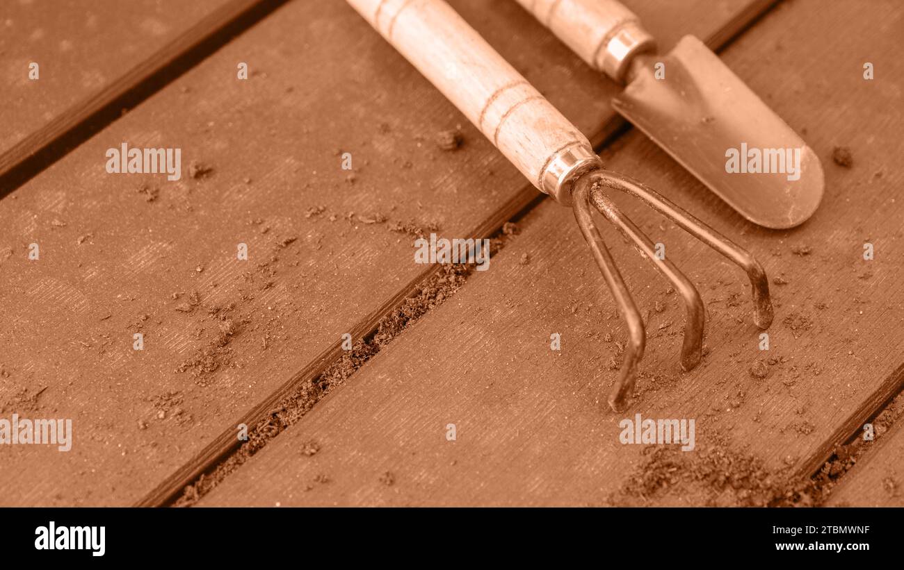 Old used garden tools shovel and rake. Image toned in Peach Fuzz color ...