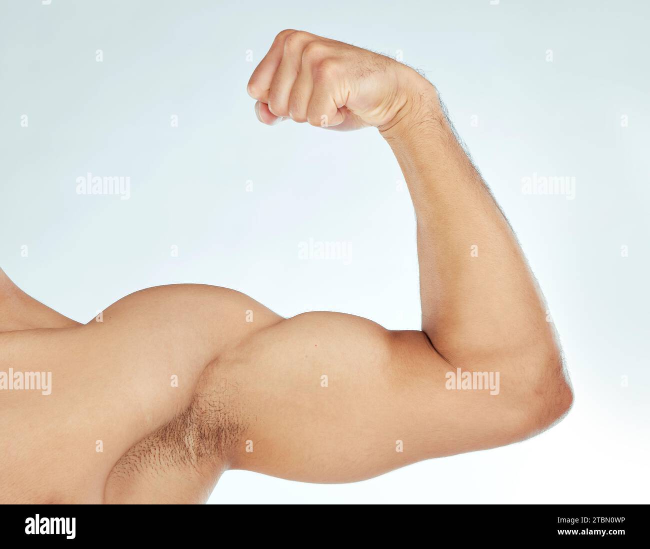 Fitness, bicep flex and closeup of man in studio for wellness, training ...