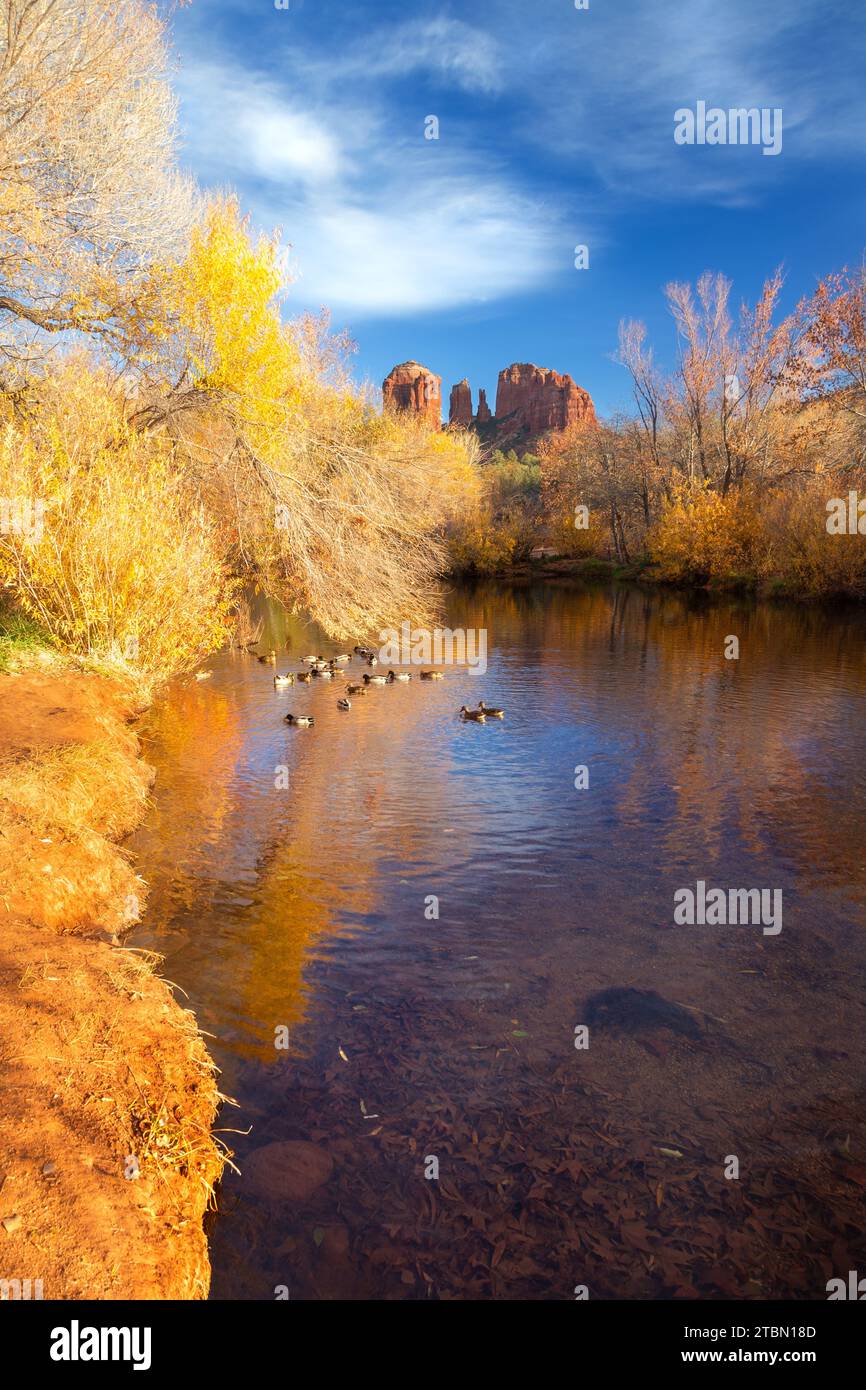 Cathedral Rock Sandstone Formation,Oak Creek Calm Water Autumn Colours ...