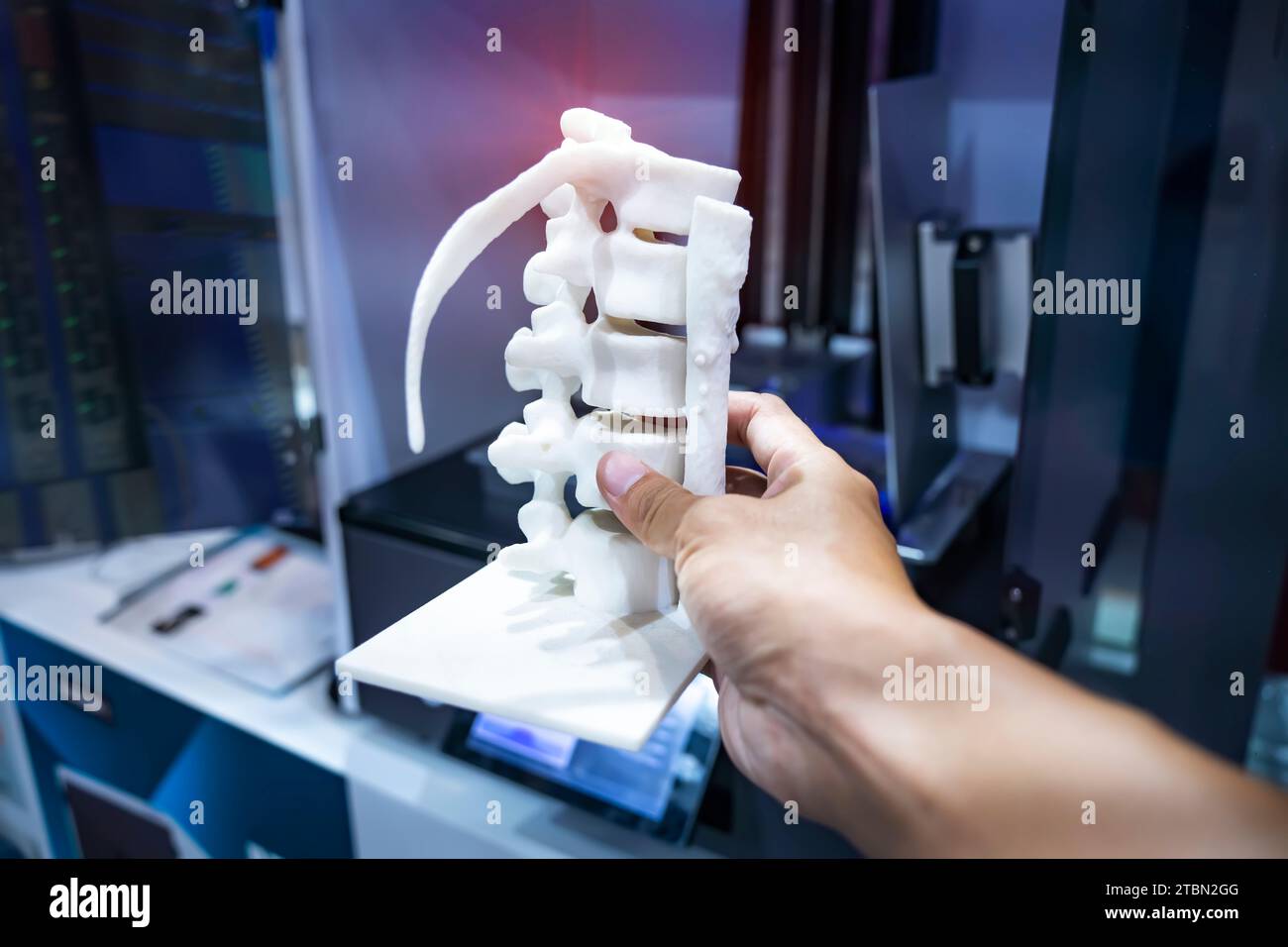 hand with 3d printed human spine in 3d printer. Stock Photo
