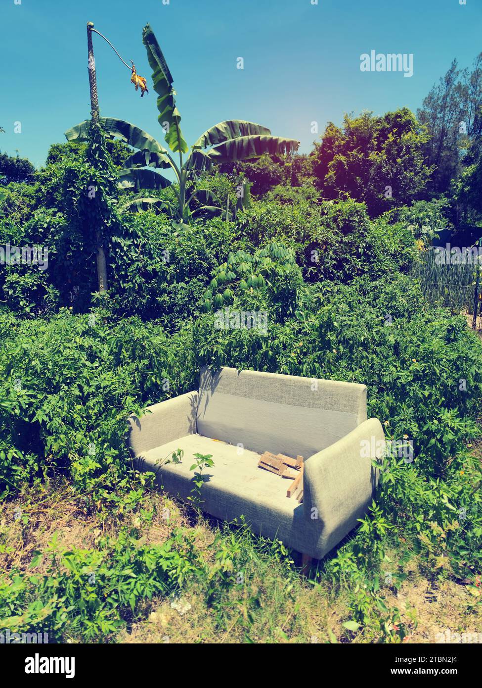 sofa abandoned in the grass Stock Photo