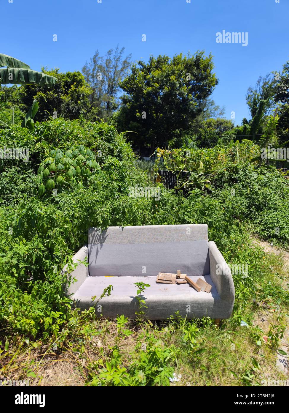sofa abandoned in the grass Stock Photo