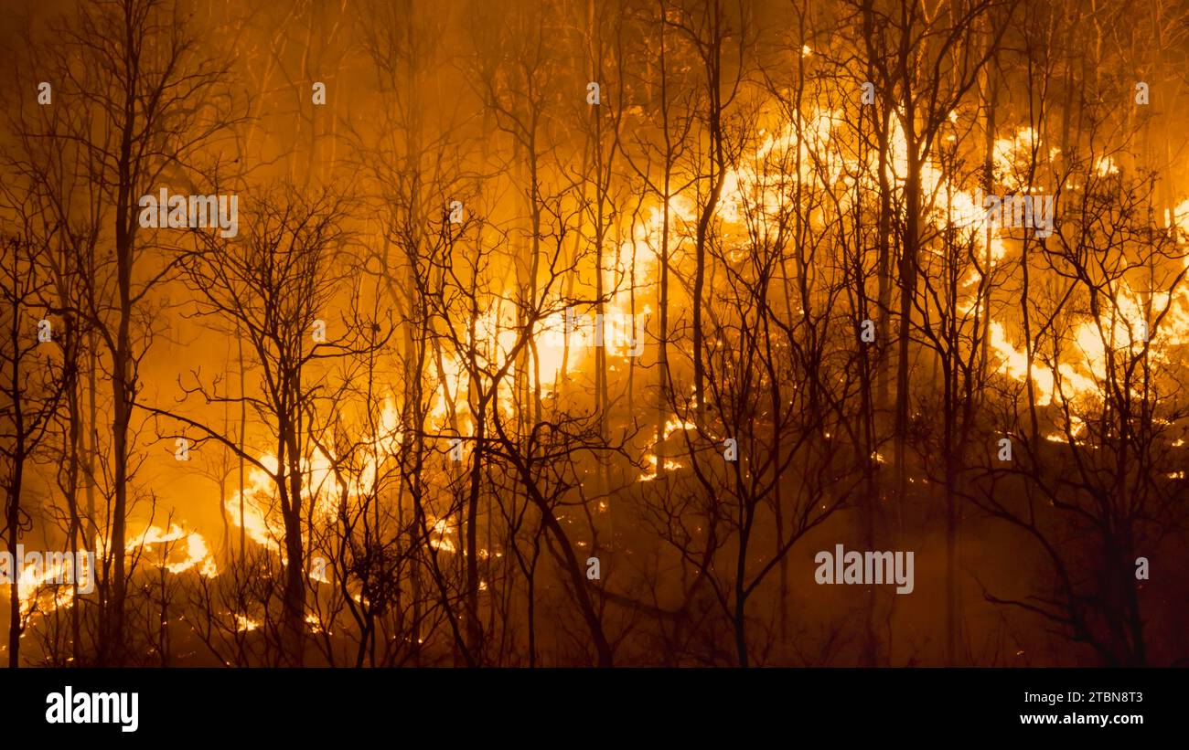 Climate change, Wildfires release carbon dioxide (CO2) emissions and