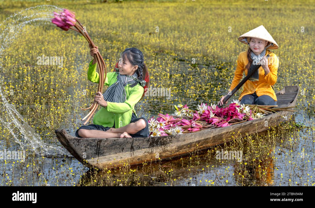 Moc Hoa district, Long An province, Vietnam - December 2, 2023: Women in western Vietnam during flowering season Utricularia foliosa,   is a large sus Stock Photo