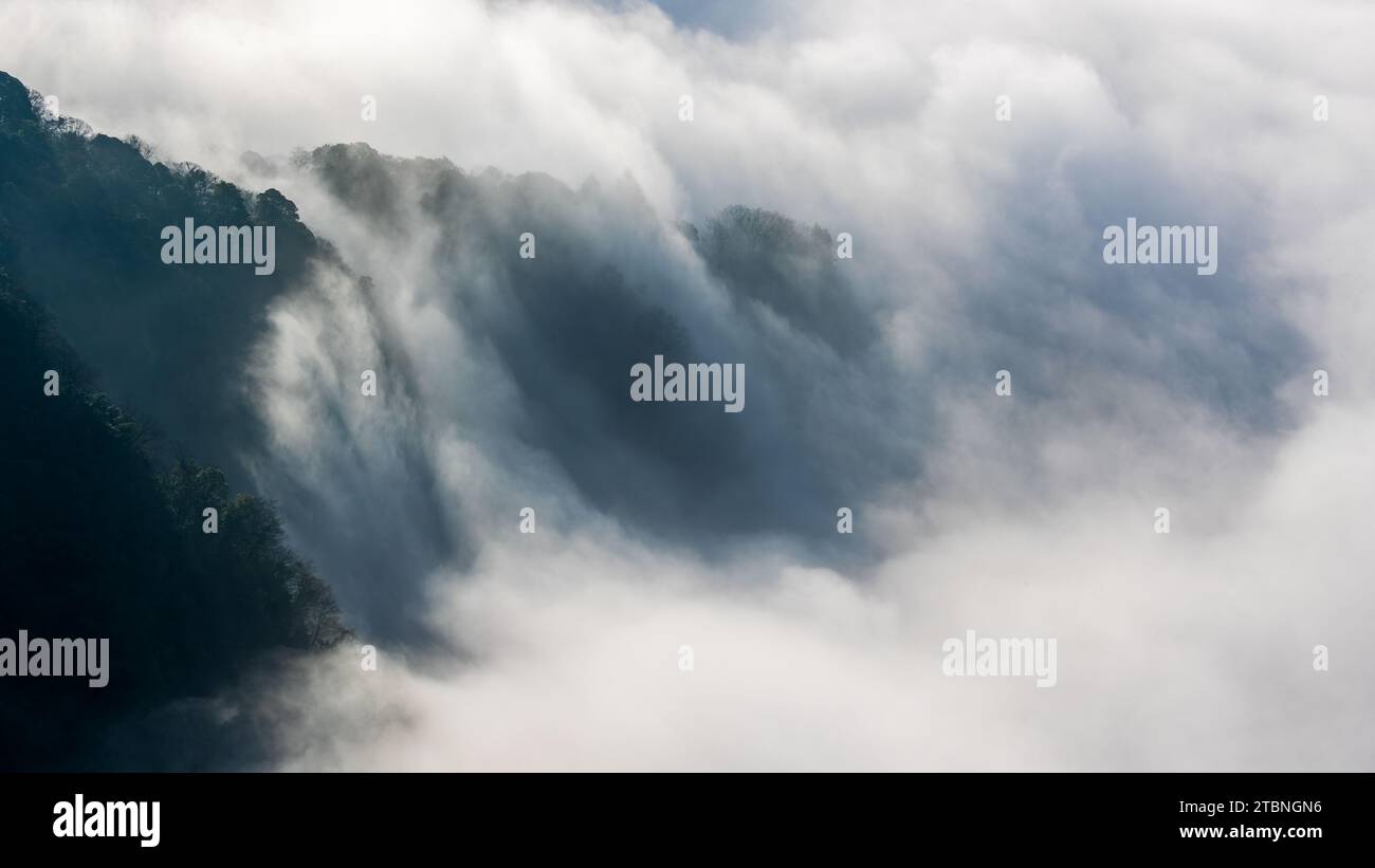 Chongqing, China. 08th Dec, 2023. CHONGQING, CHINA - DECEMBER 6, 2023 ...