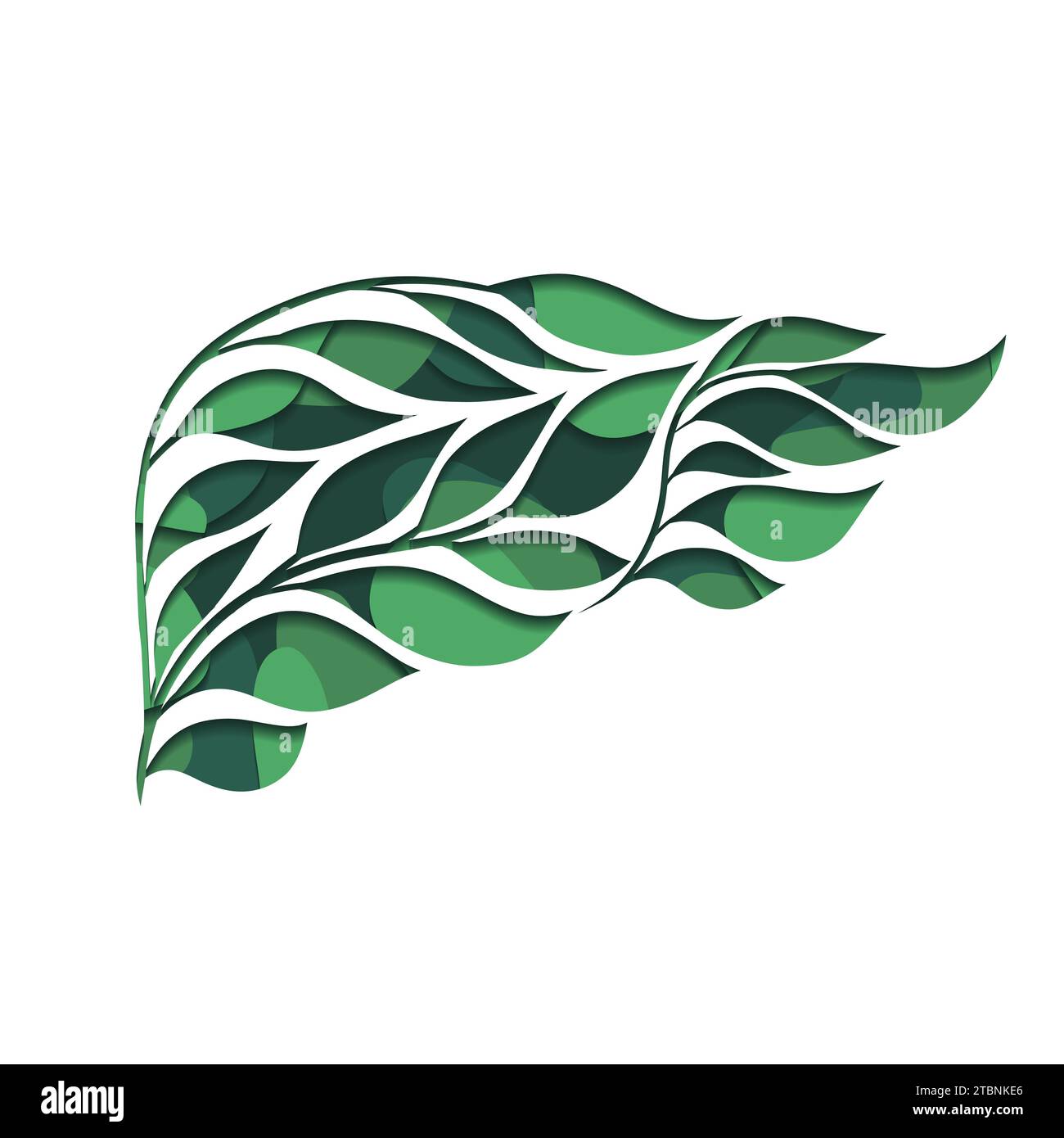 3d vector layered illustration of human healthy liver from leaves on ...