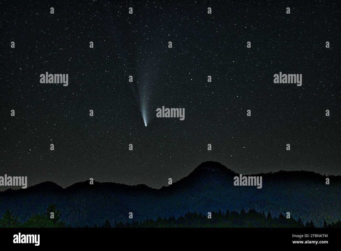 Comet Neowise in summer 2020, photographed in the Alps. The lantern in the foreground was broken. Stock Photo