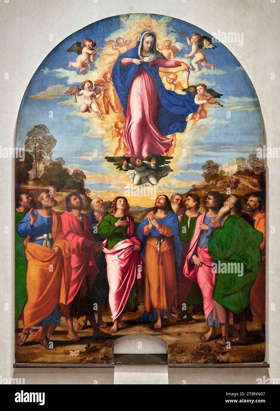 Assunzione della Vergine - olio su tavola  - Jacopo Negretti detto Palma il Vecchio  - 1513 - Venezia, Gallerie dell’ Accademia Stock Photo