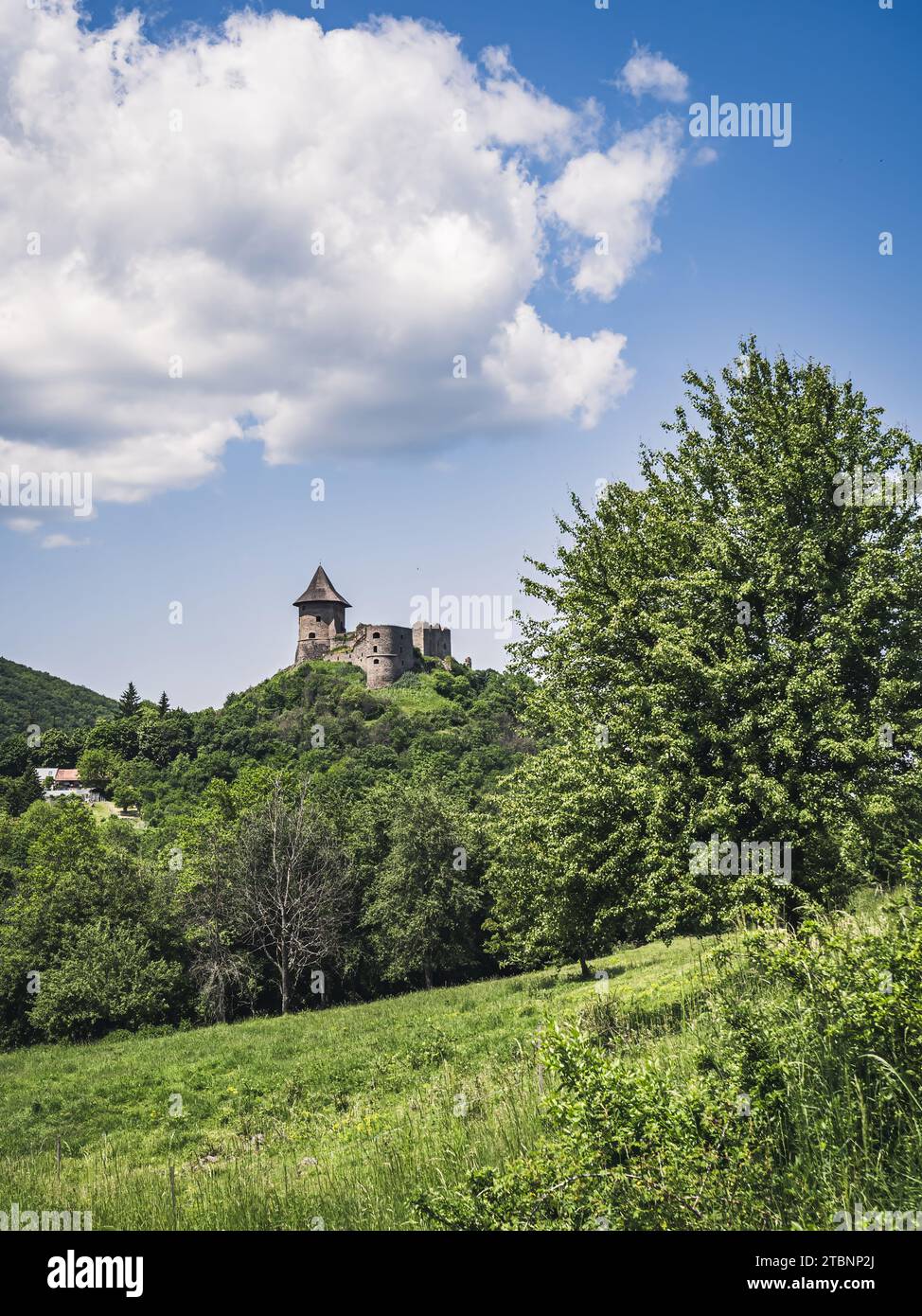 Tree bordered view of the famous Castle of Somosko. Slovakian name is Šomoška hrad, Hungarian name is Somoskői vár. Stock Photo