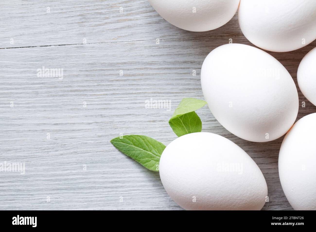 White eggs, one with easter rabbit ears, funny easter concept Stock Photo