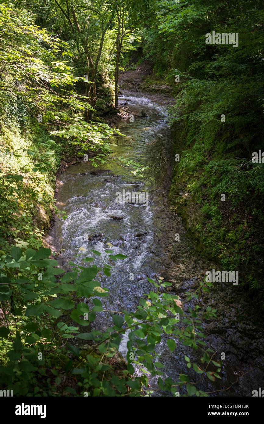 The Clifton Gorge State Nature Preserve in Ohio Stock Photo