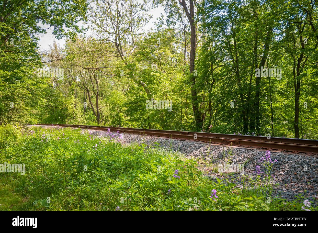 The Cuyahoga Valley Scenic Railroad - The Cuyahoga Valley Scenic Railroad Passenger Tourist Railway At Cuyahoga Valley National Park In Ohio 2TBNTFB 